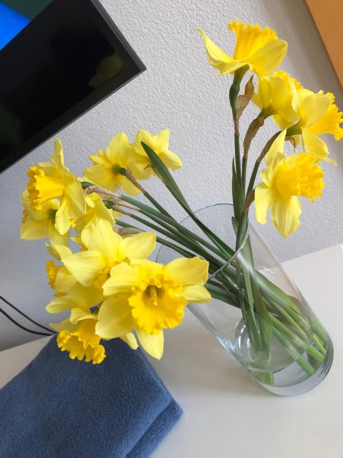 Apartmán Lara Komárno Exteriér fotografie